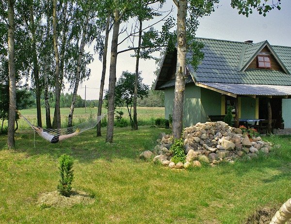 Świszczewska Danuta